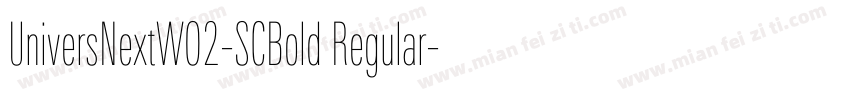 UniversNextW02-SCBold Regular字体转换